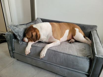 Cama-Sofá Homero para Perro / Colchón de Resortes / Tapiz Felpa