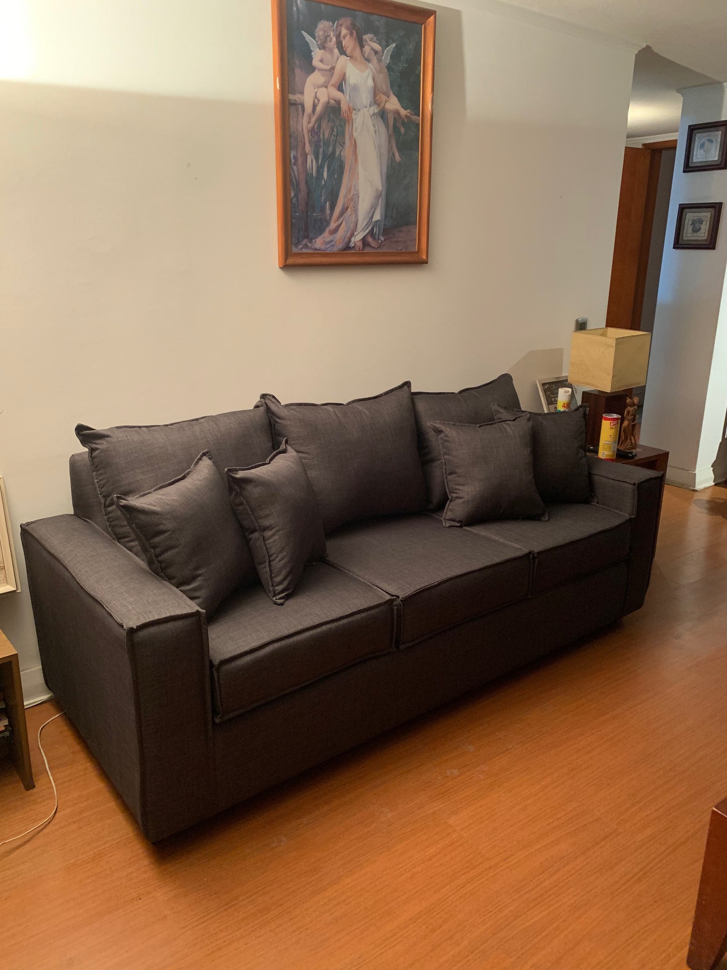 Sofa 3 cuerpos 3 Asientos Homero Plus / 7 Cojines 3 Grandes y 4 Pequeños Decorativos